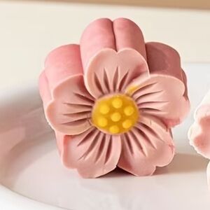 Mooncake/ Flower Cookie/Dough Press with 6 Floral Discs